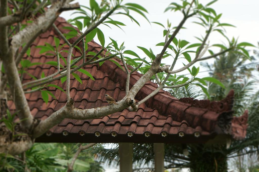 Puri Angsa Saba Apartment Keramas Exterior photo